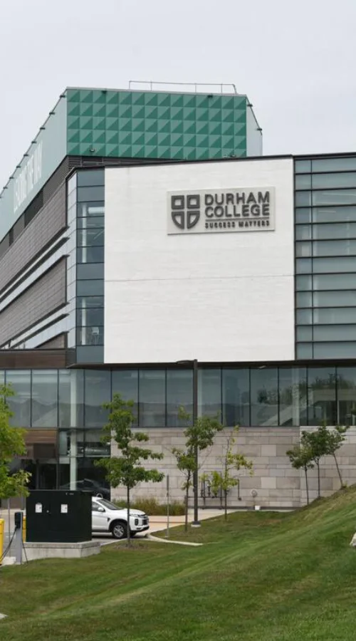 Image hover effect image